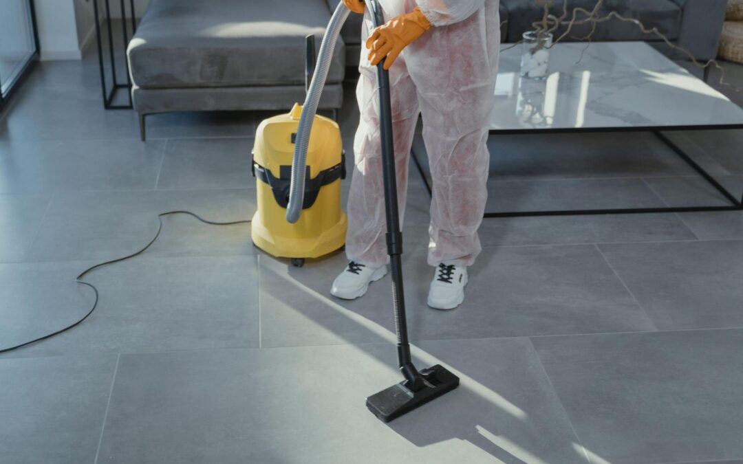 Professional Cleaning Company vs Independent Cleaner